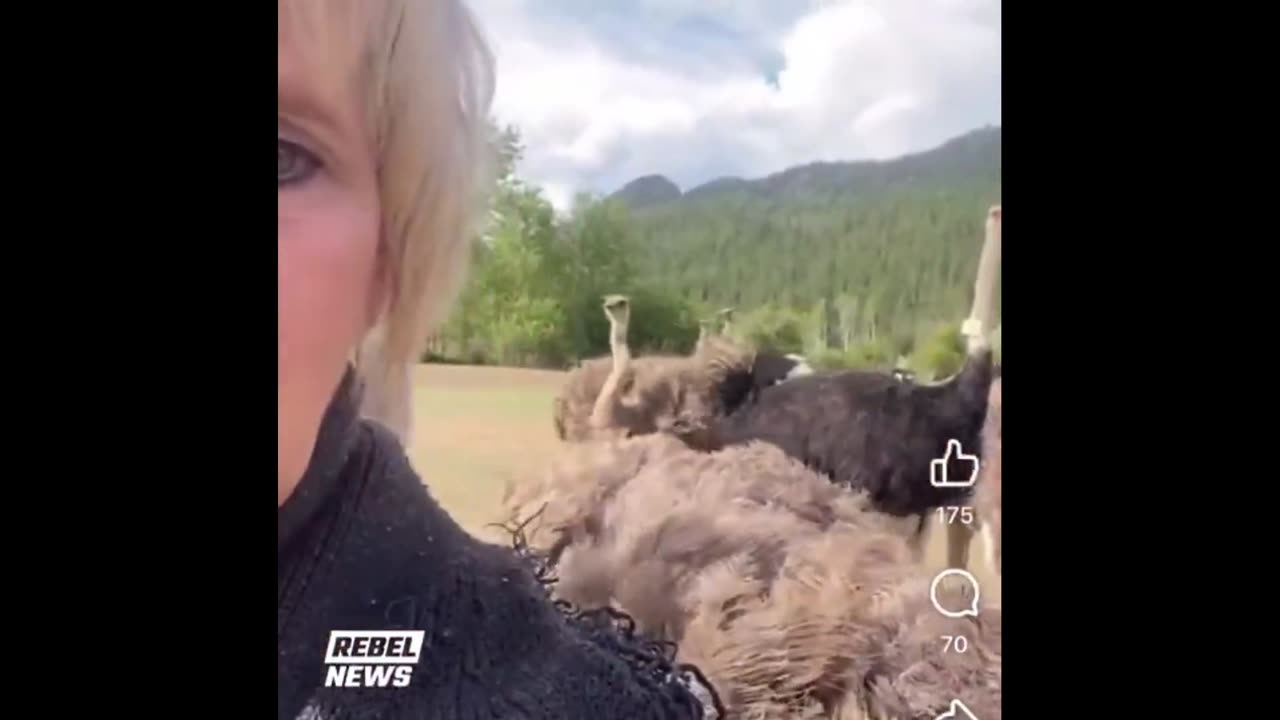 SCUM government dictates they want to kill animals whenever they want... this...