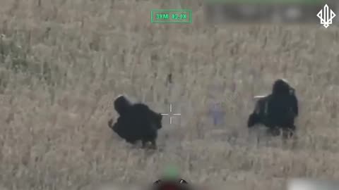 Ukrainian Drone Splitting the Difference