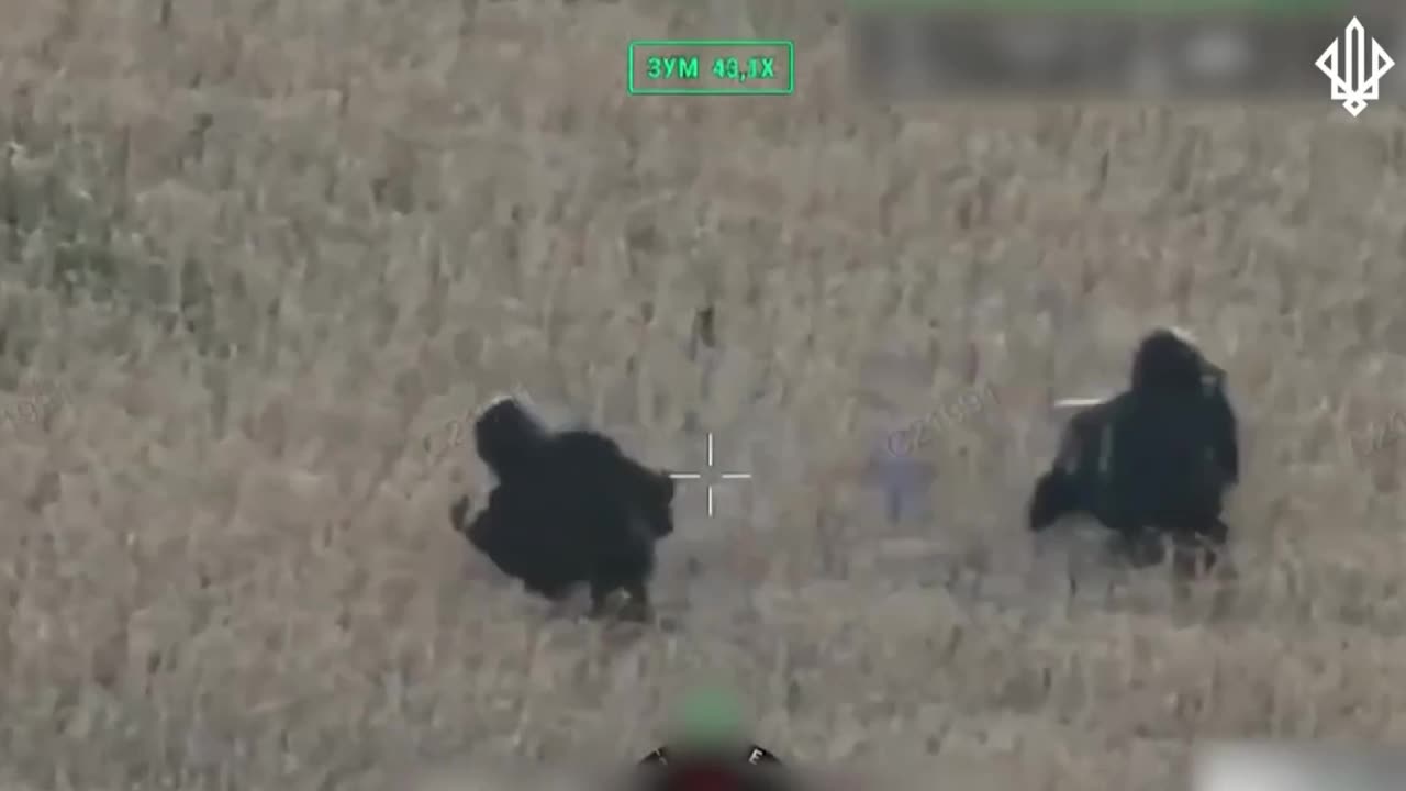 Ukrainian Drone Splitting the Difference