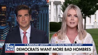 Karoline Leavitt: Dem Party Is Deranged and Dangerous
