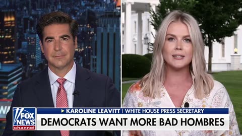 Karoline Leavitt: Dem Party Is Deranged and Dangerous