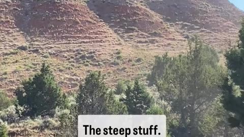 Buffalo Trails on the Hills. cartercountrymeats.com