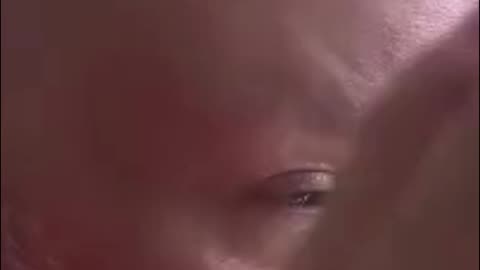 Childhood Memories - The Schwinn Bike I Never Had