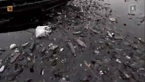 NA TROPIE PIRATÓW 2 dokument pl