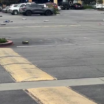 California Road Rage Goes Full GTA... all over a parking space!