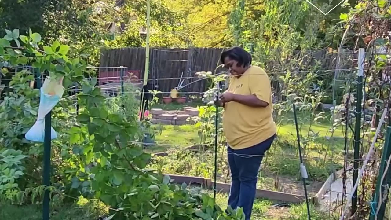Building a Blackberry Trellis - #catshobbycorner #gardening
