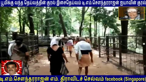 Old Is Gold (evergreen) Tm Soundararajan Legend Vol 41 Ayyappan Song