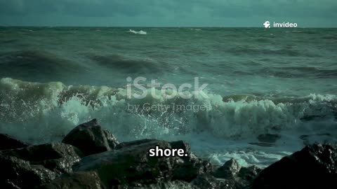 Unlock the Ocean Gate: Viral Passive Income Secrets the Internet Forgot to Mention