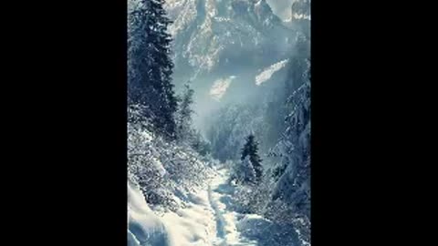 This Cold Night-Cold Snow