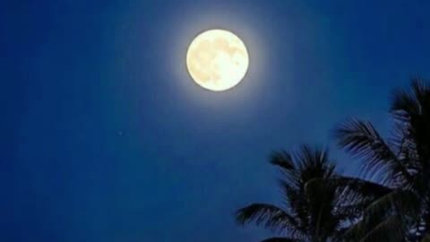 We’re All the Same V2