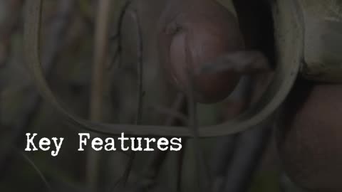 Model 70: Modern Innovation, Timeless Craftsmanship