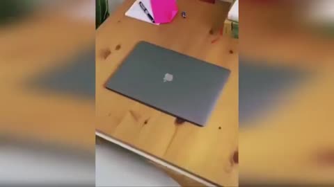 Try not to laugh