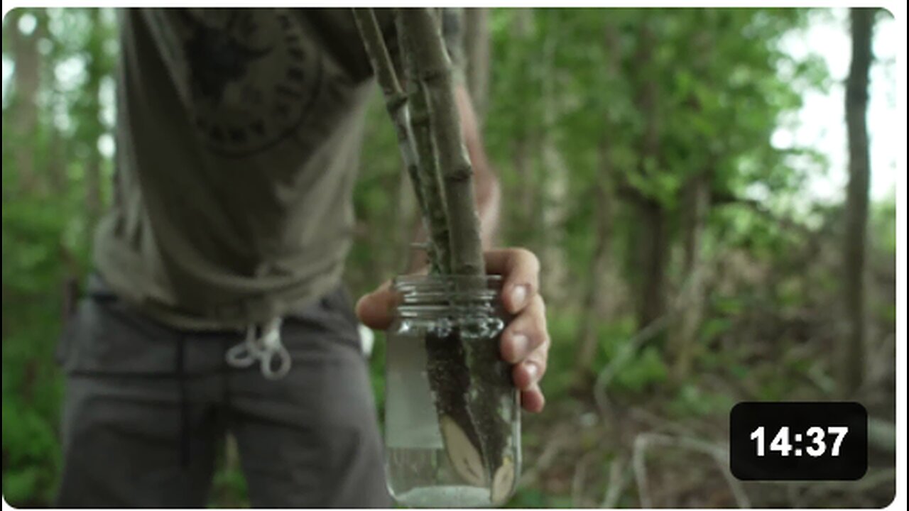 Learn how to make a Primitive Water Filter by Clay Hayes