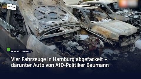 Brandstiftung: Vier Fahrzeuge in Hamburg abgefackelt – darunter Auto von AfD-Politiker Baumann