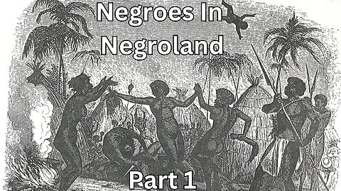 Negroes In Negroland, Part 1. Race Realism Comfy Tuesday Livestream