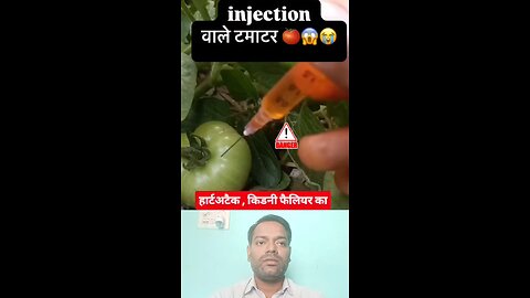 इंजेक्शन वाले टमाटर ।