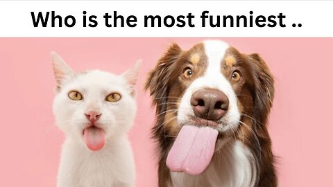 Most Funniest Pets in the US