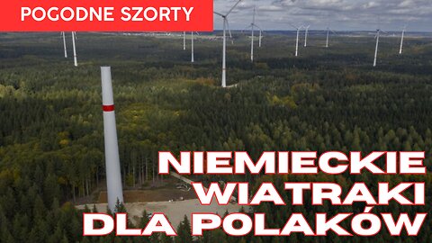 Ile Niemcy zarabiają na wiatrakach? | Pogodne Szorty #251