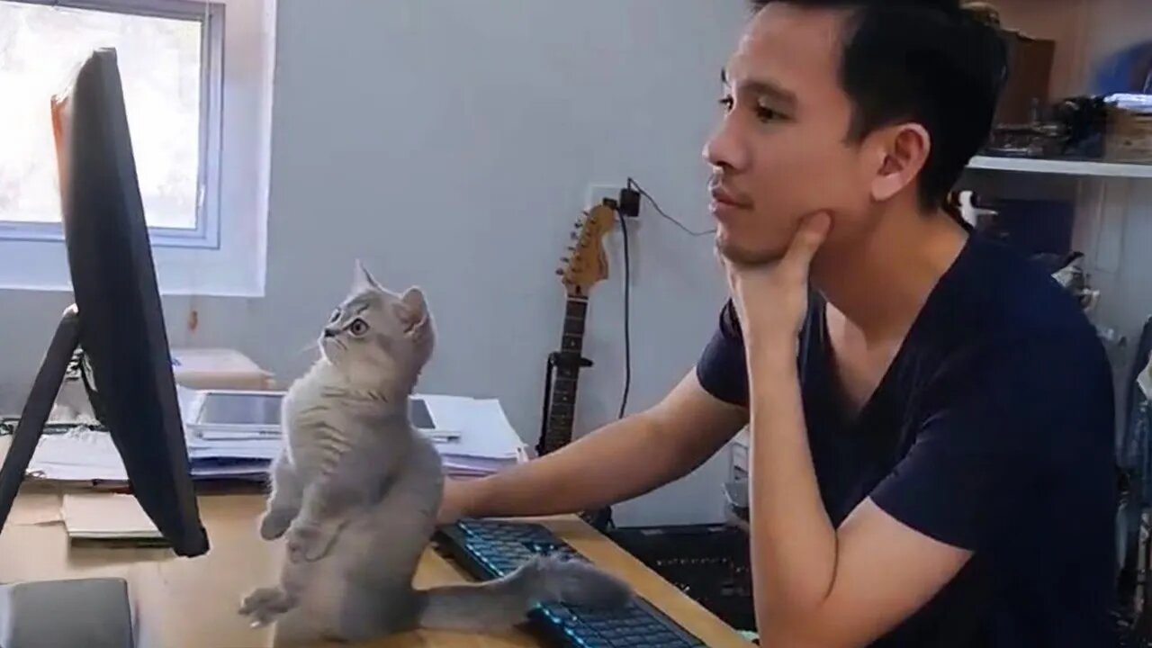 When your Cat buddy is always by your side