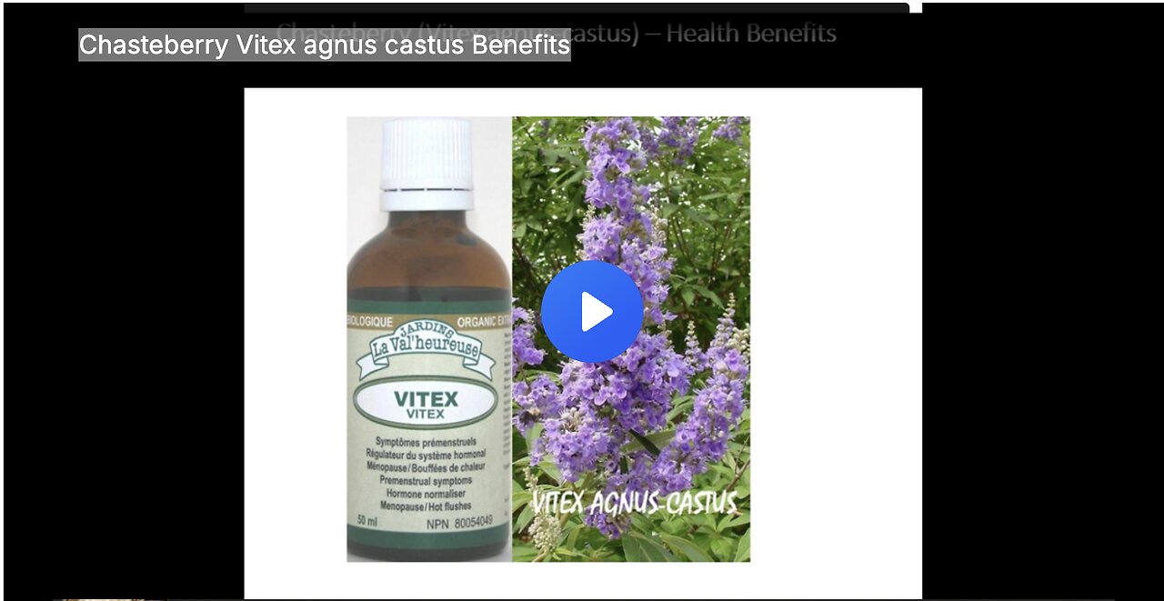 Chasteberry Vitex agnus castus Benefits