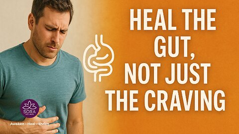 Heal the Gut, Not Just the Craving