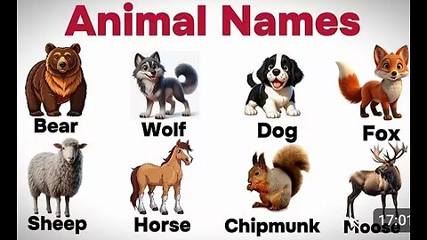 Learn Animal Names for Kids 🐶🐱🐯 | Fun English Learning Video