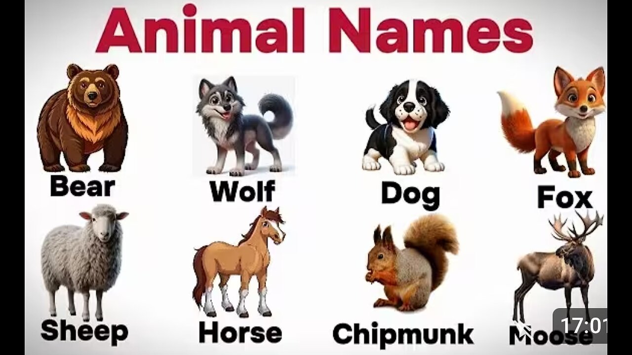 Learn Animal Names for Kids 🐶🐱🐯 | Fun English Learning Video