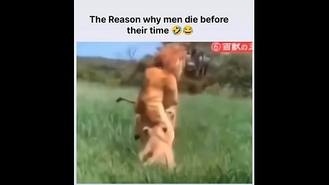 The Reason why men die before their time😂😂😂