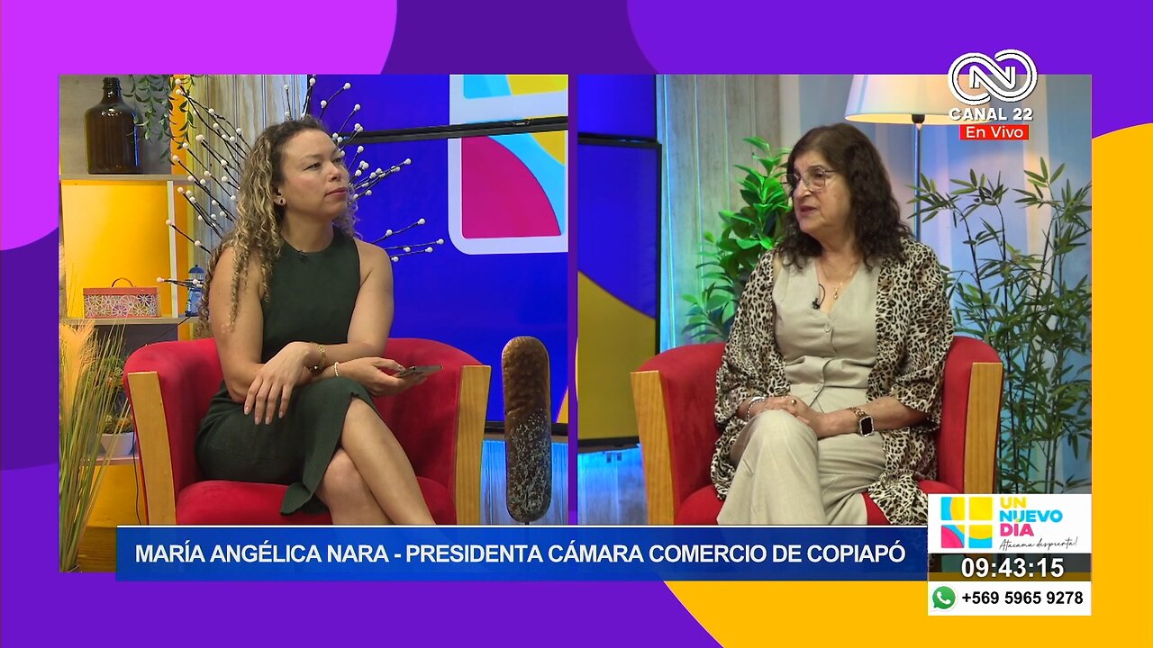 María Angélica Nara Presidenta cámara de comercio de Copiapó