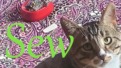 Sew WIP Wednesday || Stitch & B*
