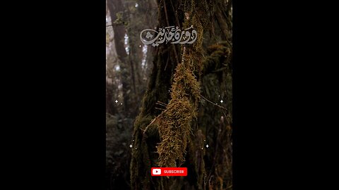 Hadees e nabvi (saw) #islam #viralvideos #islamicreminders #prophetmuhammadsaw #hadeesenabvi