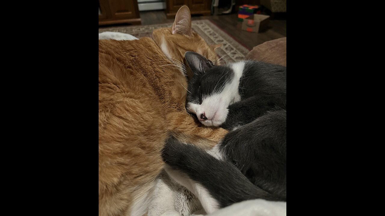 Episode 3039 CWSA 12/07/25