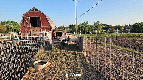 Graham Family Farm: 7:20 PM May 1 2025