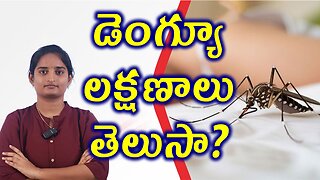 డెంగ్యూ లక్షణాలు తెలుసా? Signs & Symptoms of Dengue Best Homeopathy Treatment Medicine Cure