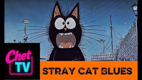 Stray Cat Blues Music Video 2025
