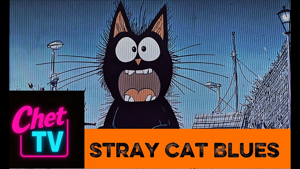 Stray Cat Blues Music Video 2025