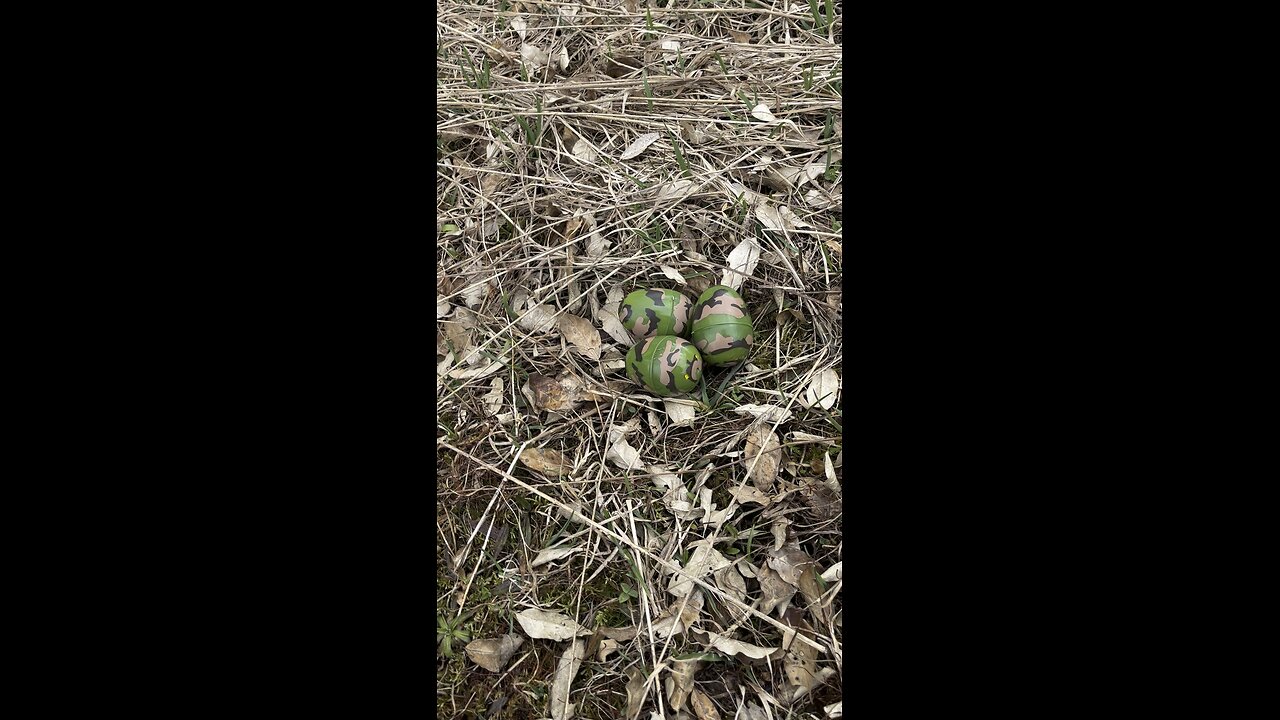 Easter egg hunt hard mode