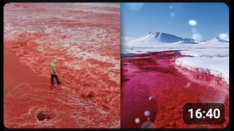 "Unusual End Times Phenomena: The Mystery of 'Blood Rain' and Red-Hued Water Bodies!"