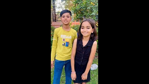 funny videos