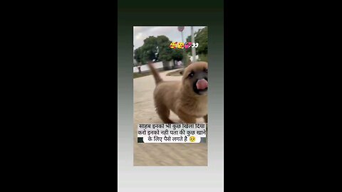 इन मासुम को भी भूख लगती है