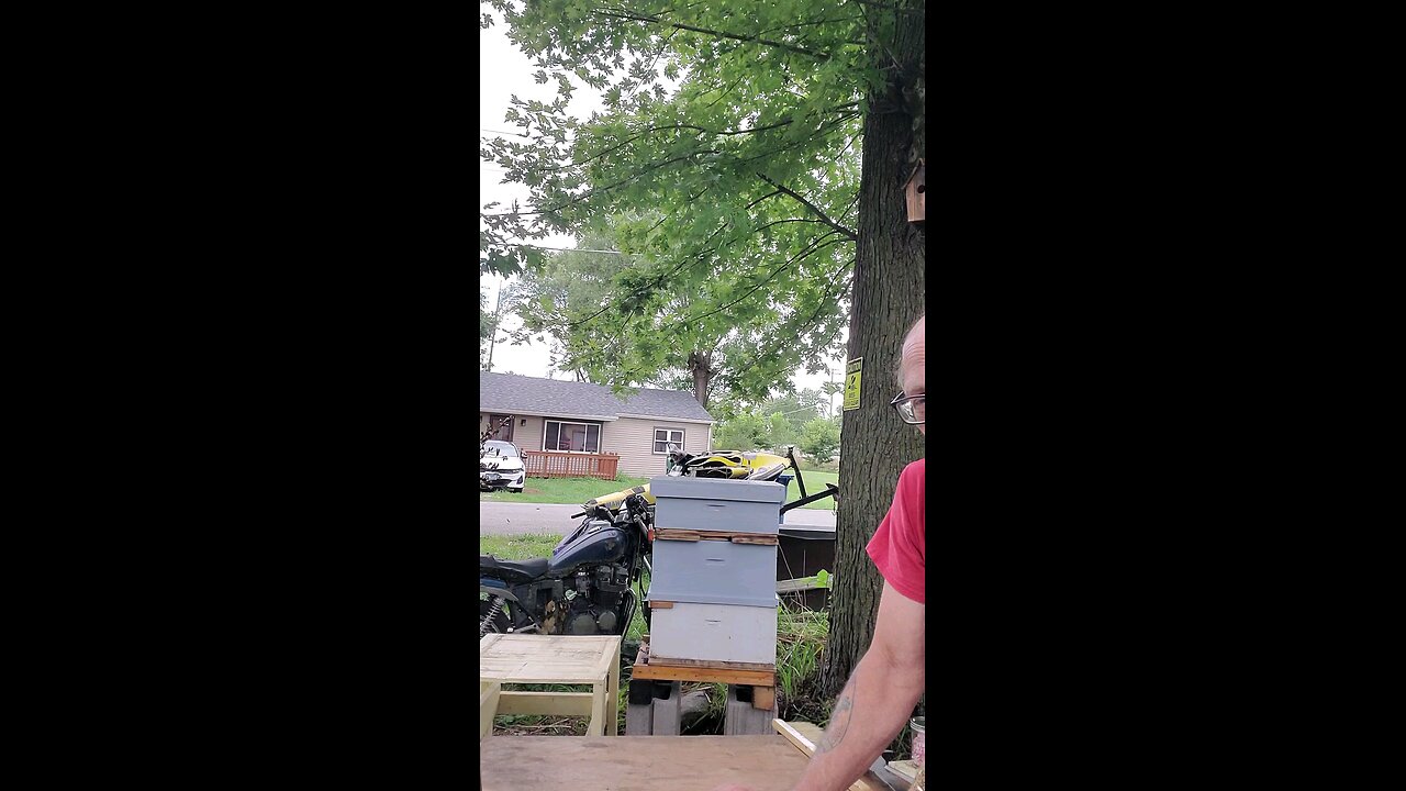 🐝Building Shungite Tower 🐝