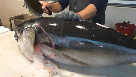 Amazing skill！Bigeye tuna cutting MASTER - How to cut bigeye tuna for sashimi / 驚人的技巧！大目鮪魚切割大師