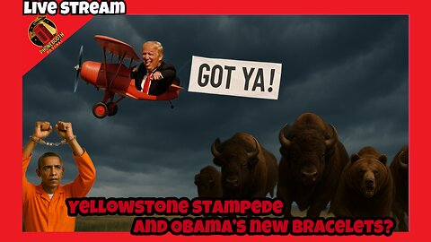 Yellowstone Stampede and Obama's New Bracelets? Live Stream