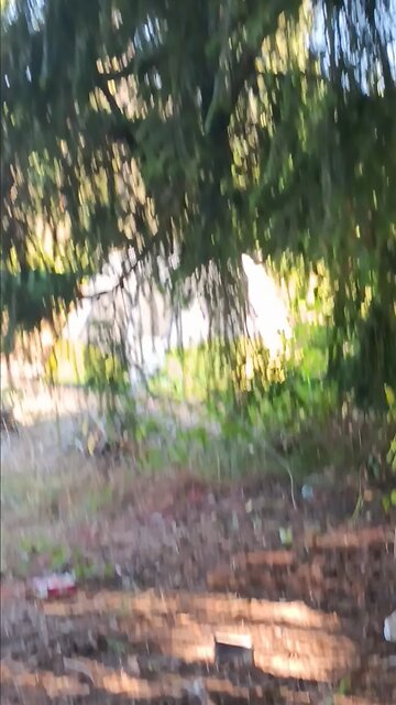 I GOT A NEW NEIGHBOR