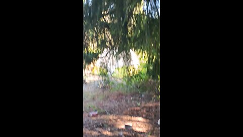 I GOT A NEW NEIGHBOR