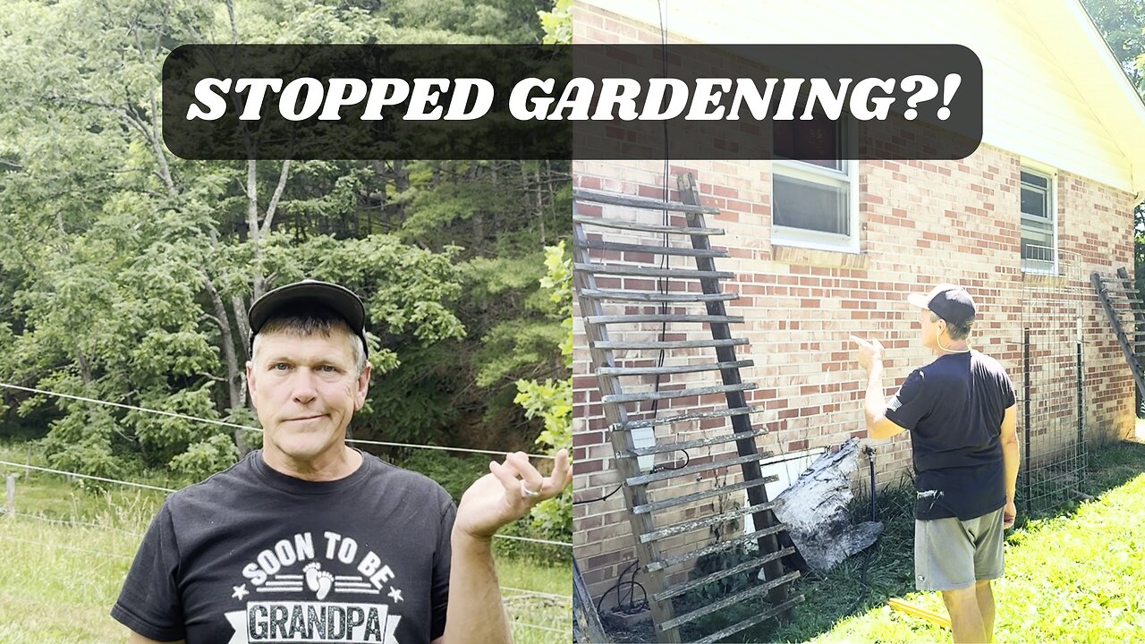 The Craziest Reason to Stop Gardening (And How We’re Growing More)