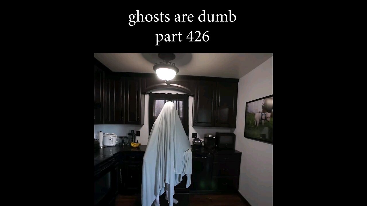 ghosts ar3 dum lol #ghost #funny #nice #comedian #fyp #awesome