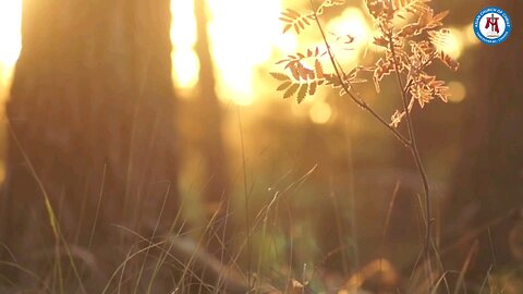 Greatest sign of the Holy Spirit