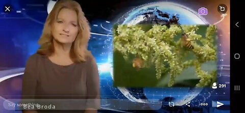 Sacha Stone 20/09/2025 part 7 : beehives 🐝