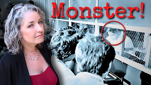 The Man Who RUINED Halloween Forever | The Truth Behind the “Poisoned Candy” Myth